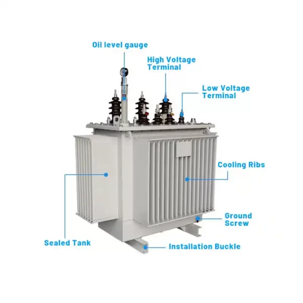 1000KVA 11KV0.4KV Oil Type Distribution Transformer