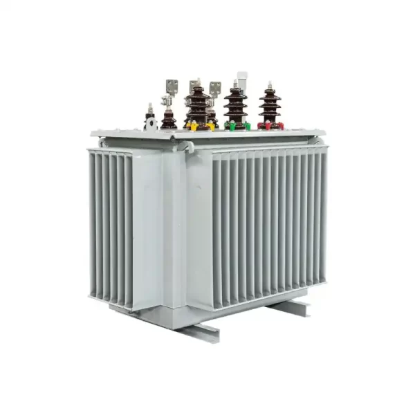 300 KVA 6.6 KV 3 Phase Oil Immersed Distribution Transformer