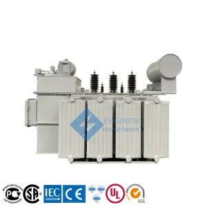 10000 KVA 10 MVA 3 Phase Power Transformer for Sale – Evernew Transformer Export to USA, Germany, France